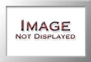 Rapesco Spare Punching Cutters [for Hole Punches